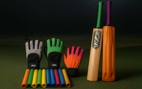 Kashmir willow bat at affordable price in India